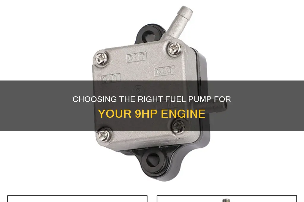 what fuel pump will go on a 9hp engine
