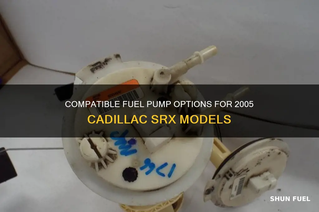 what fuel pump will interchange with a 2005 cadillac sv