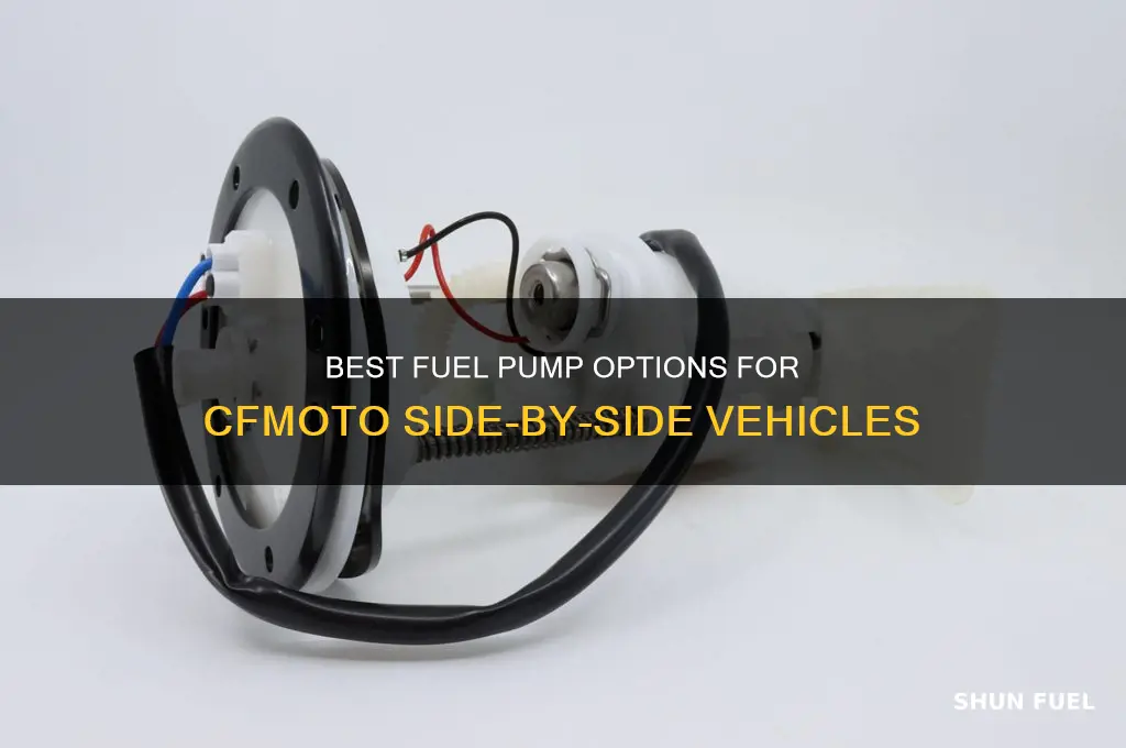 what fuel pump will work in cfmoto side by side