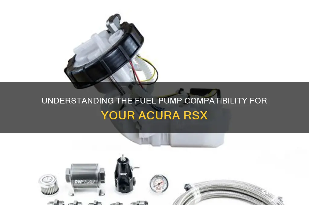 what fuel pump work on the rsx
