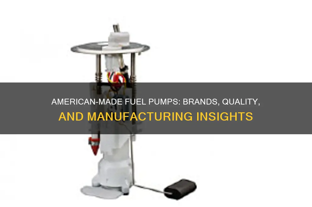 what fuel pumps are made in america