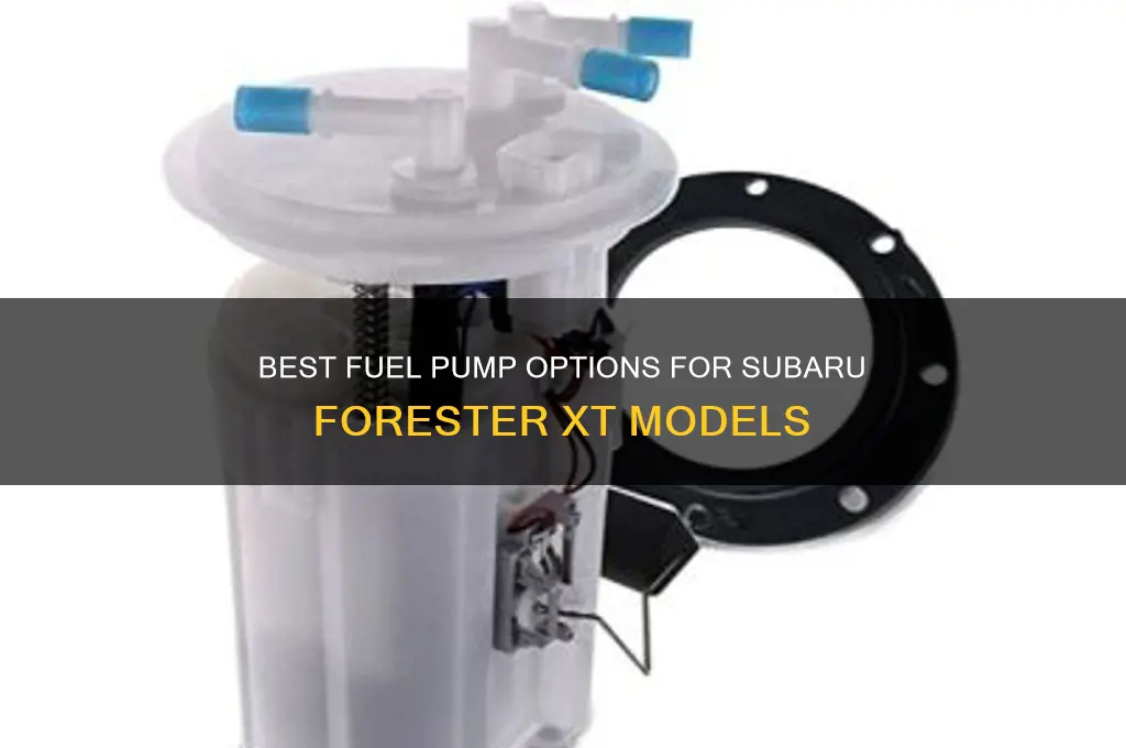 what fuel pumps fit forester xt