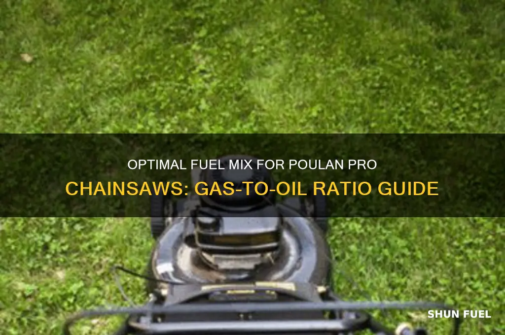 what fuel ratio do poulan pro chainsaws use
