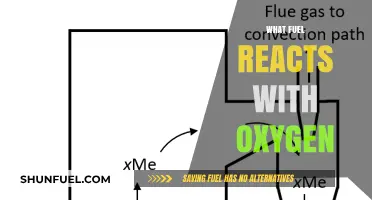 Exploring Combustion: What Fuel Reacts with Oxygen for Energy Release?