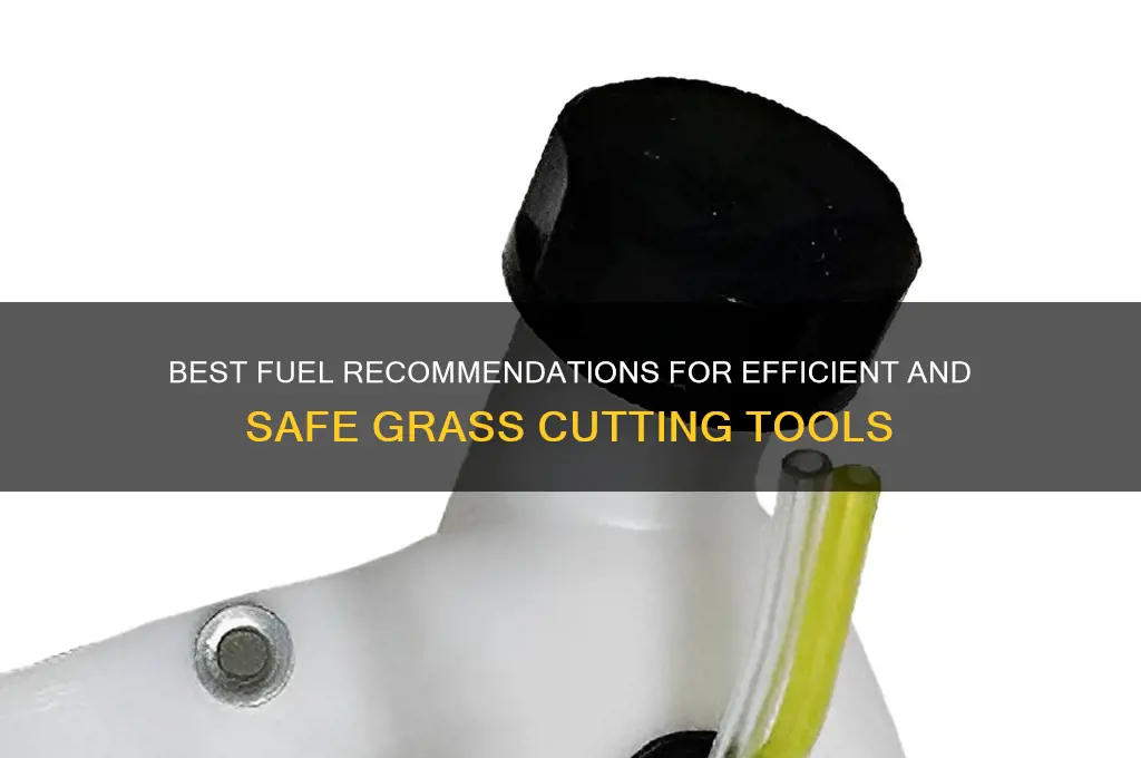 what fuel recomendet for grass