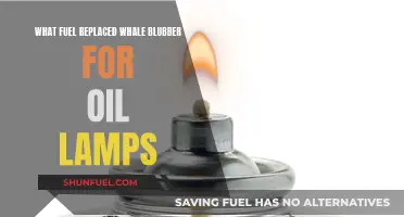 The Evolution of Oil Lamps: From Whale Blubber to Kerosene