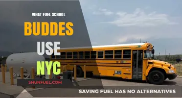 What Fuel Do NYC School Buses Use? A Comprehensive Guide