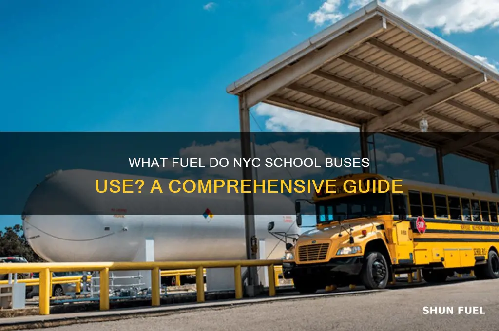 what fuel school buddes use nyc