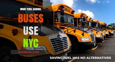 What Fuel Powers NYC School Buses: A Comprehensive Guide