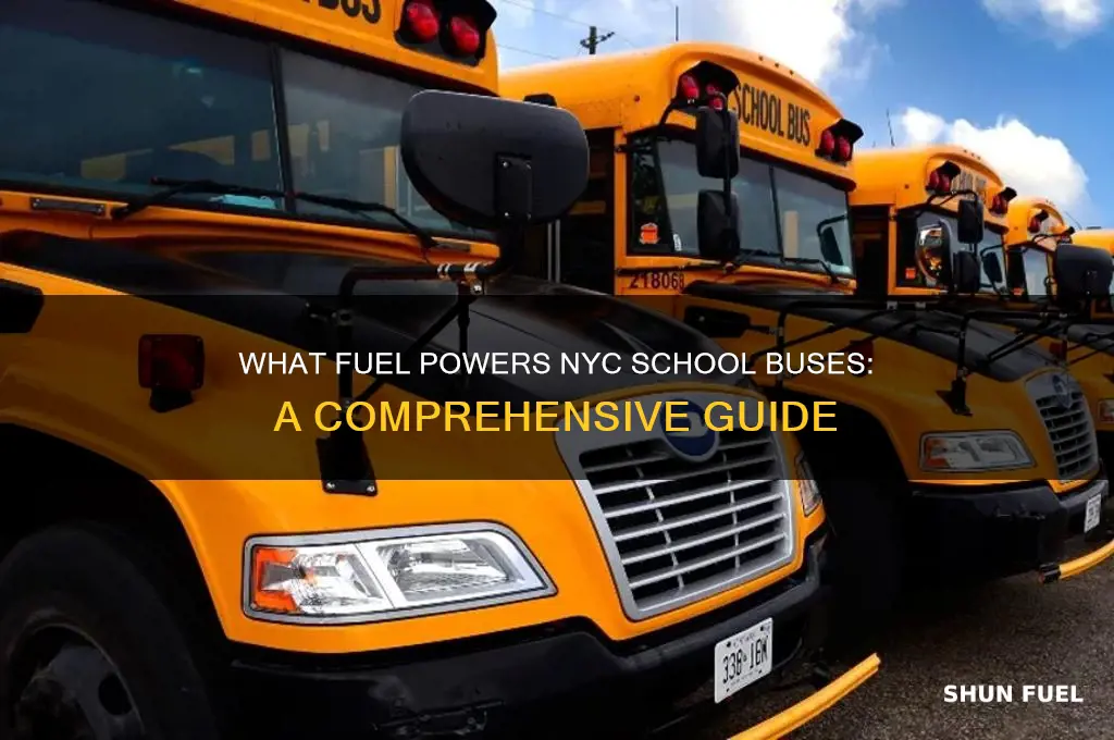 what fuel school buses use nyc