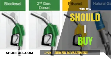 Choosing the Right Fuel: A Comprehensive Guide for Smart Buyers