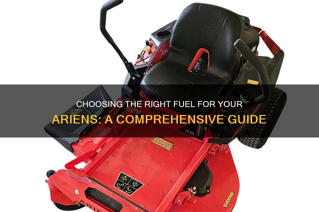 what fuel should i use for my areins