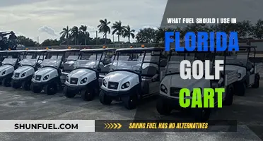 Best Fuel Options for Florida Golf Carts: A Comprehensive Guide