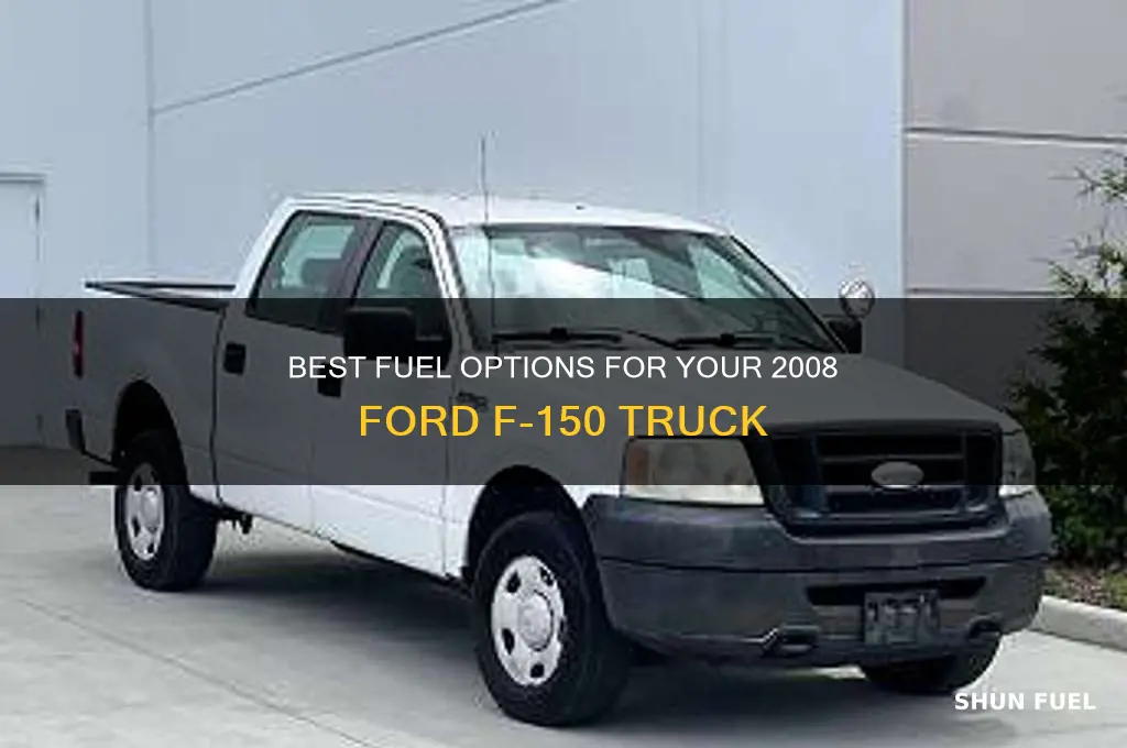 what fuel should i use in ford f 150 2008