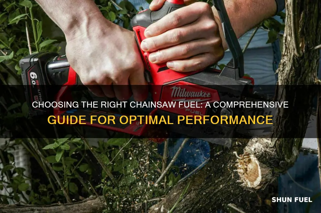 what fuel should i use in my chainsaw