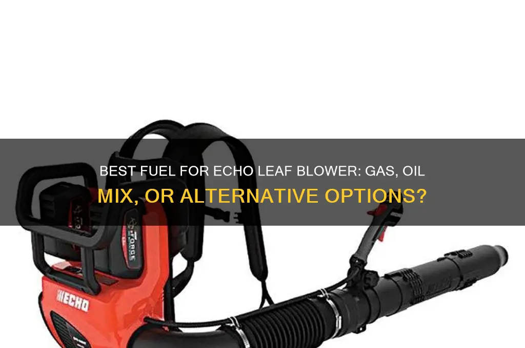 what fuel should i use in my echo leaf blower