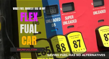 Flex Fuel Cars: Choosing the Right Fuel