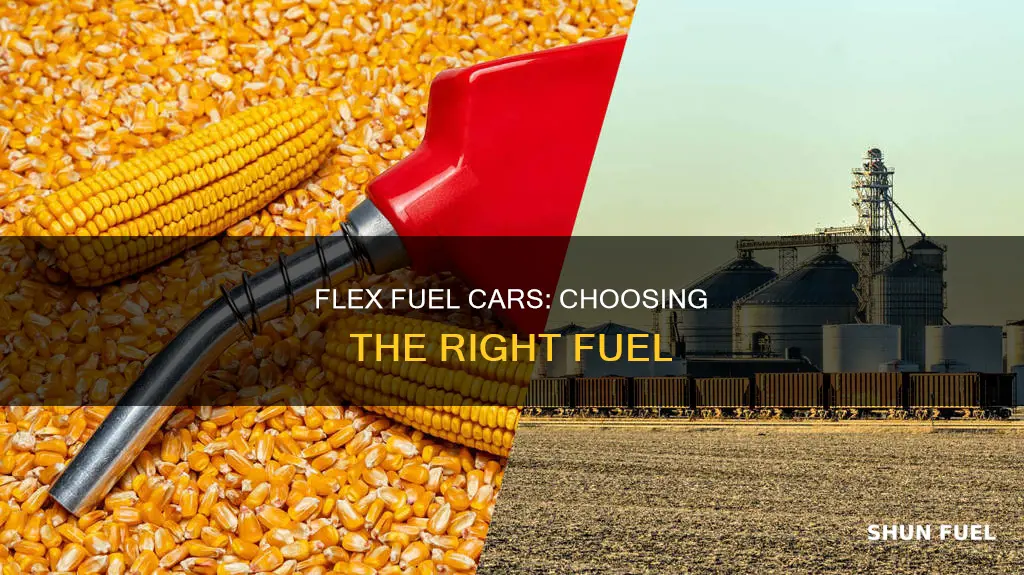 what fuel should i use in my flex fual car