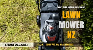 Best Fuel for Your Lawn Mower in New Zealand: A Guide