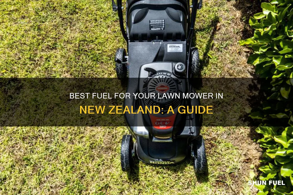 what fuel should i use in my lawn mower nz