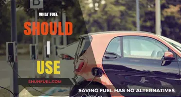 Choosing the Right Fuel: A Comprehensive Guide for Optimal Performance