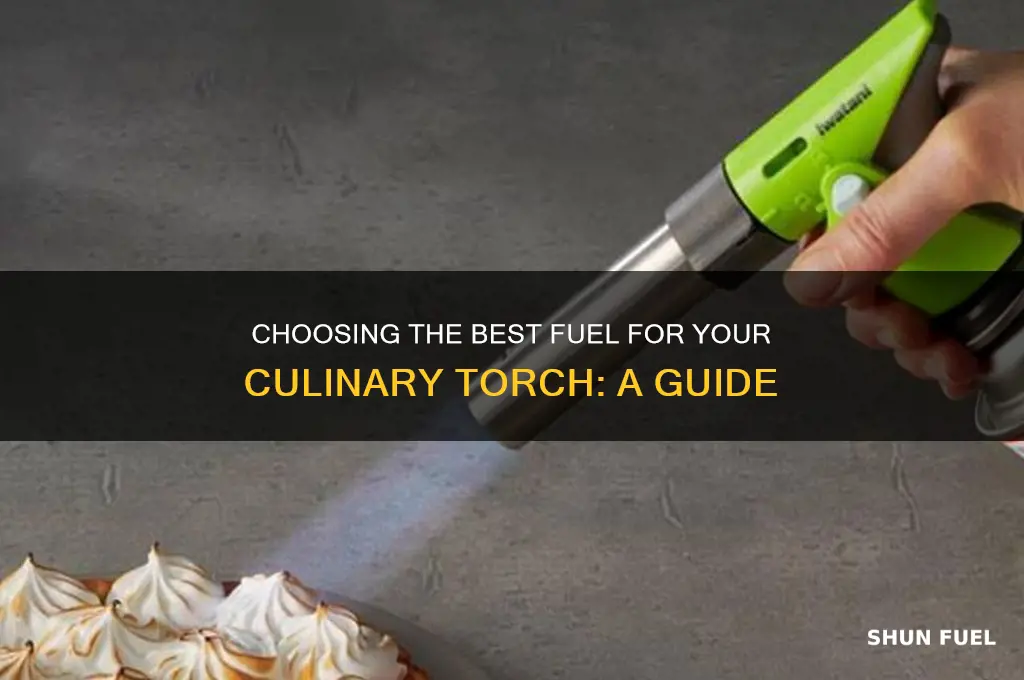 what fuel should you use for food torch