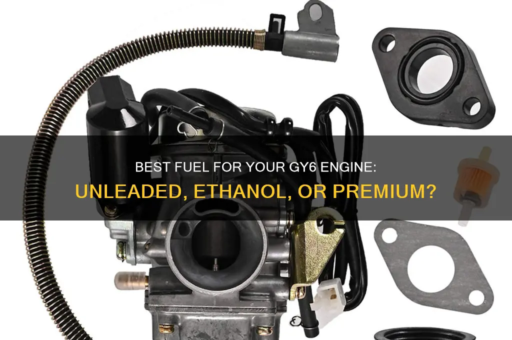 what fuel should you use in a gy6 engine