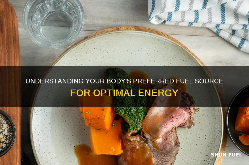 what fuel source does your body use