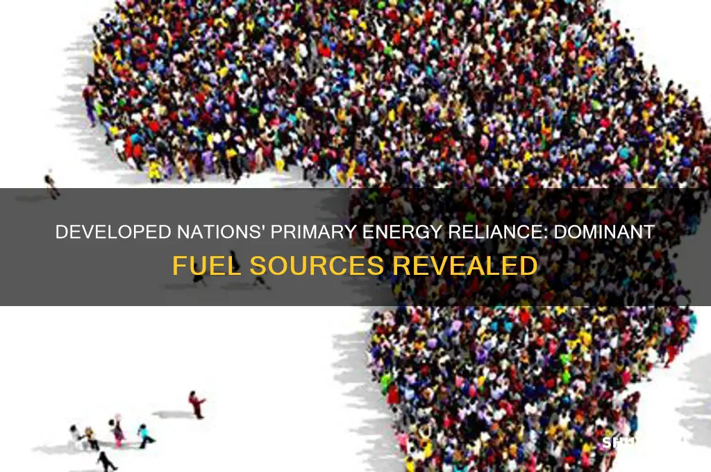 what fuel source is used most in developed countries