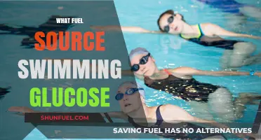Swimming's Energy Source: How Glucose Fuels Performance in the Pool
