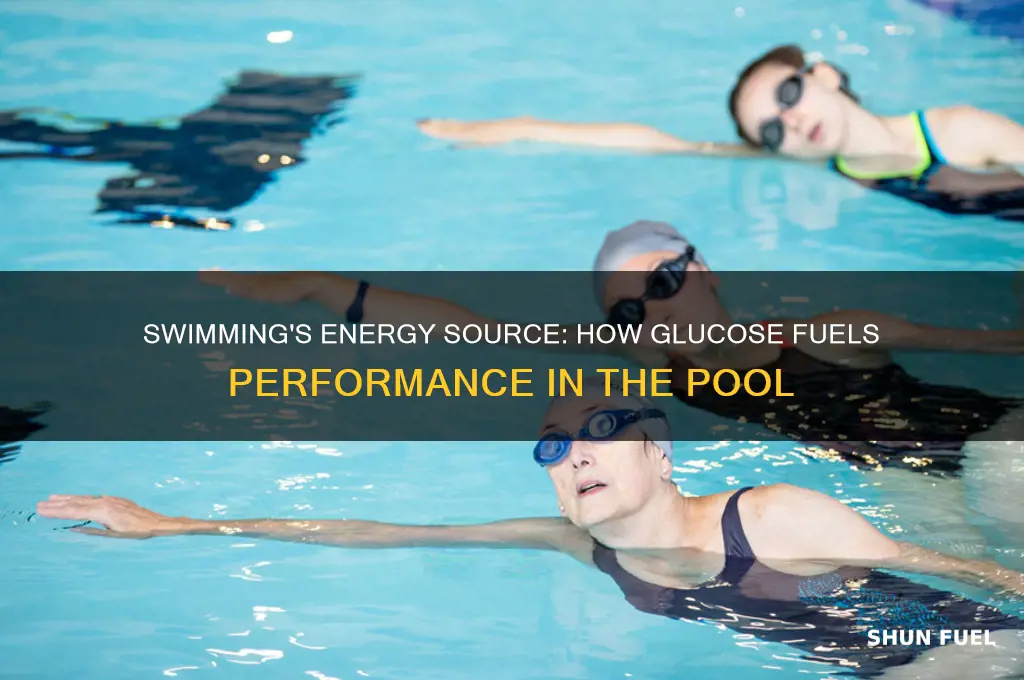 what fuel source swimming glucose