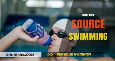 Swimming's Fuel Source: Unlocking Energy for Optimal Performance in the Pool