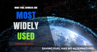 Exploring the Dominant Fuel Sources Powering the Global Energy Landscape