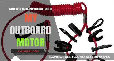 Best Fuel Stabilizer for Outboard Motors: Top Picks and Tips