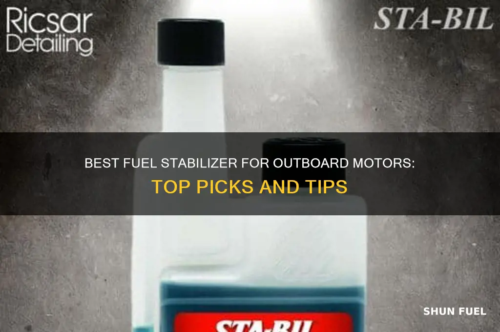 what fuel stabilizer should i use in my outboard motor