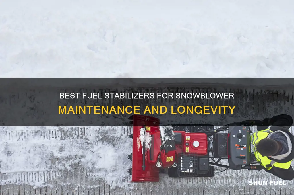 what fuel stabilizer to use for snowblower