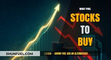 Top Fuel Stocks to Buy Now for Long-Term Growth