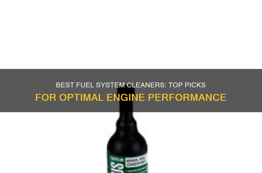 what fuel system cleaner should i use