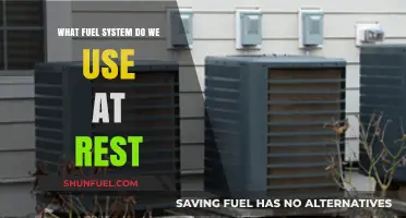 Understanding Our Body's Resting Fuel System: A Comprehensive Guide