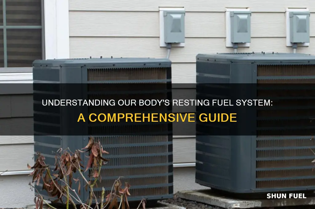 what fuel system do we use at rest