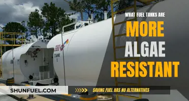 Algae-Resistant Fuel Tanks: What's the Secret?