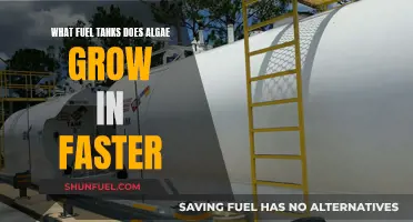 Algae Growth: Fuel Tanks and Their Impact