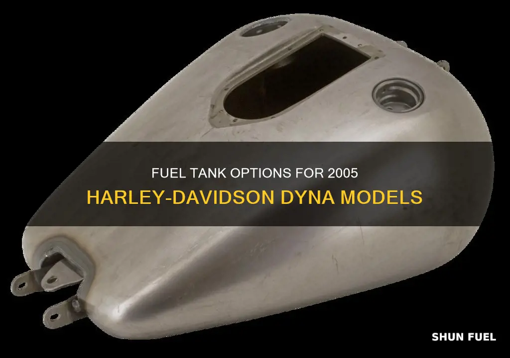 what fuel tanks fit 2005 harley davidson dyna