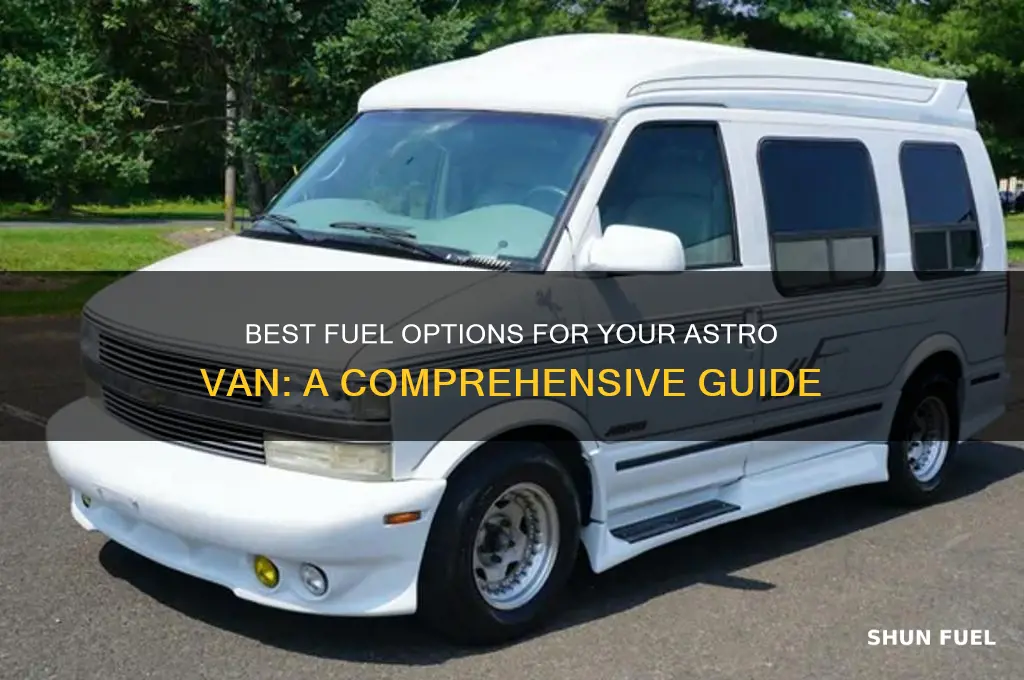 what fuel to astro van