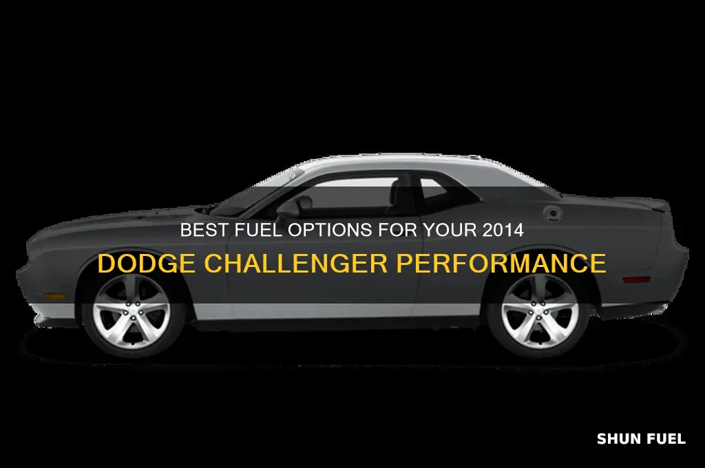 what fuel to use for 14 dodge challenger