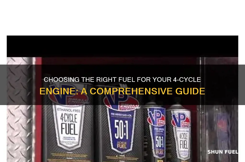 what fuel to use for a 4 cycle engine