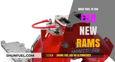 Best Fuel Options for New Rams: Performance and Efficiency Guide