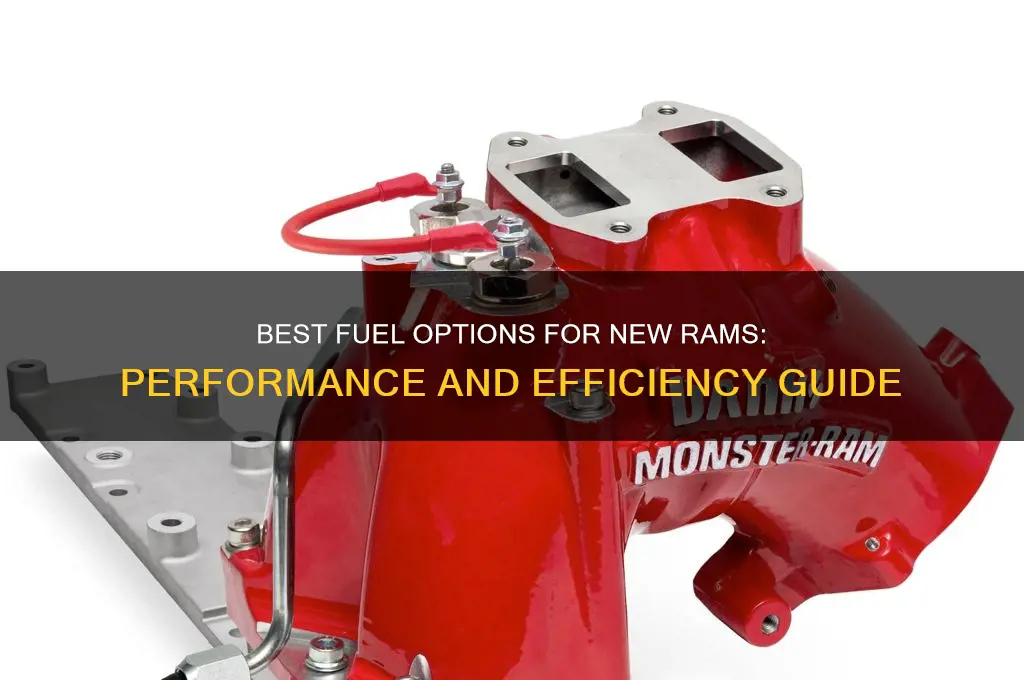what fuel to use for new rams