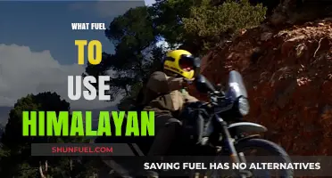 Best Fuel Choices for Your Himalayan Adventure: A Comprehensive Guide