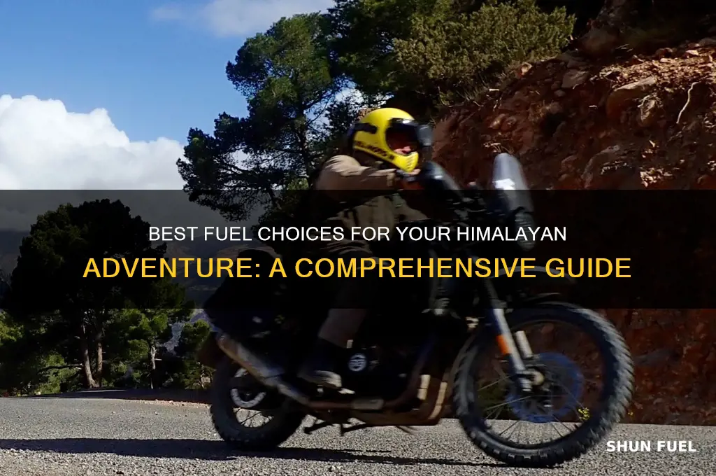 what fuel to use himalayan